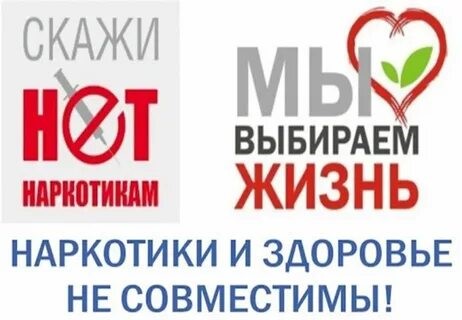 На территории Дружненского сельского поселения начинается месячник антинаркотической направленности и популяризации здорового образа жизни.